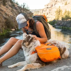 Koiran reppu Approach Pack, oranssi>RuffWear