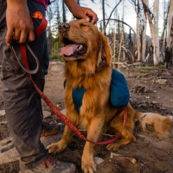 Koiran reppu Front Range, sininen>RuffWear Discount