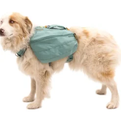 Koiranreppu Front Range, River Rock Green>RuffWear