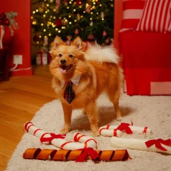 Koiran solmio Festive ruutukuvio>Little&Bigger Online