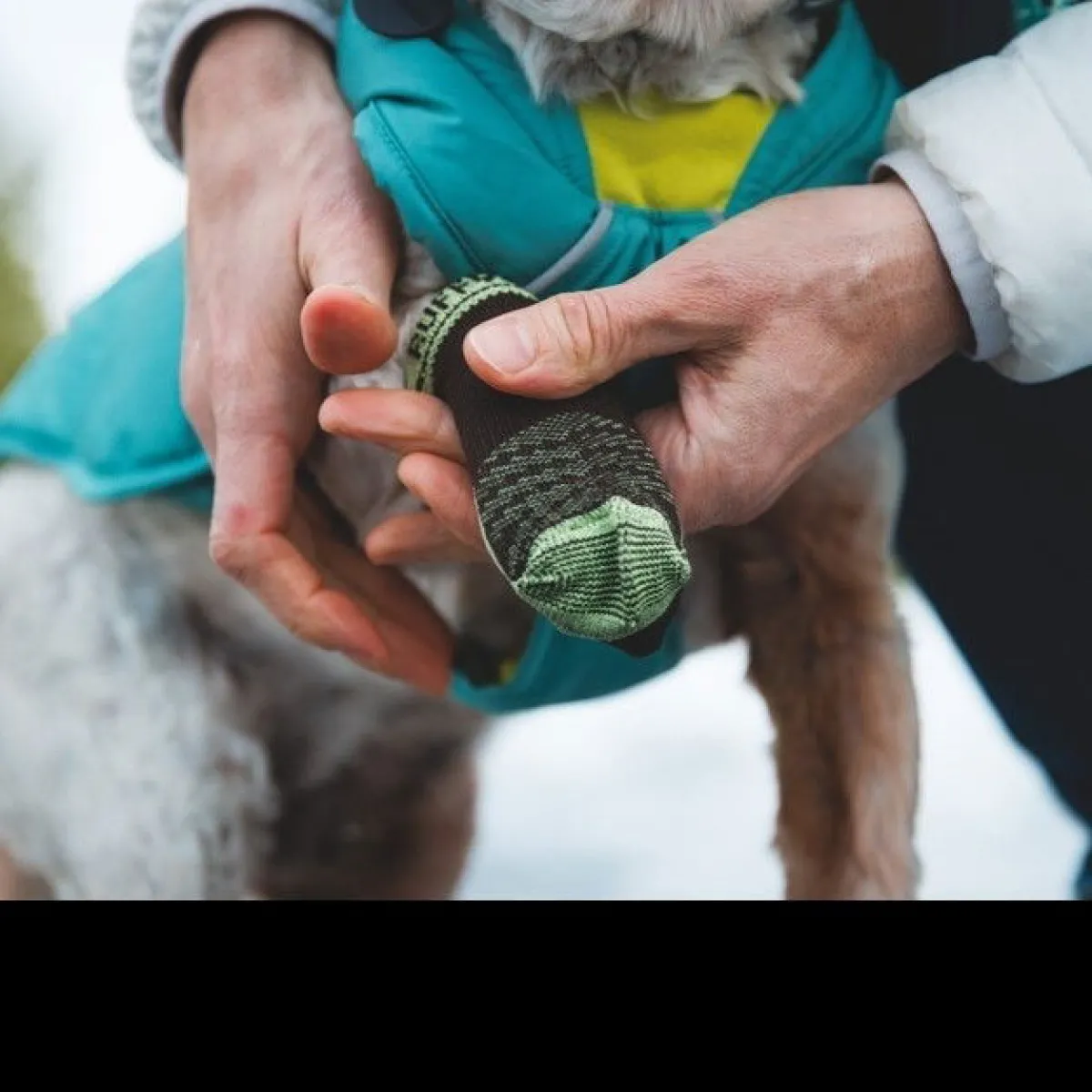 Koiran sukat Bark'n Boot>RuffWear Outlet