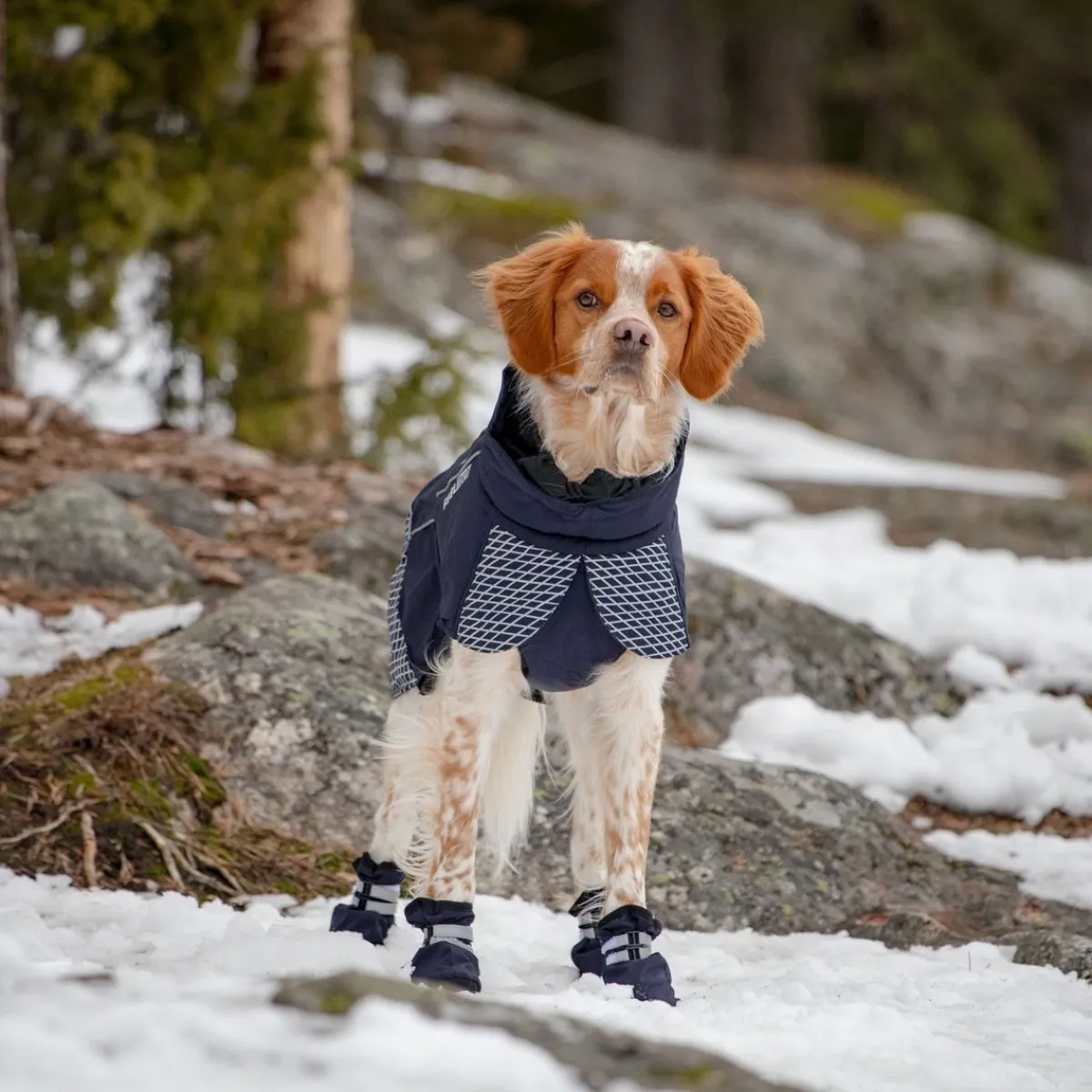 Koiran talvitossut Snow, 2 kpl>Feel Active Clearance