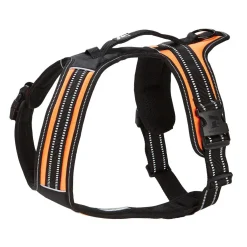 Koiran valjaat FA Sport, oranssi>Feel Active Online