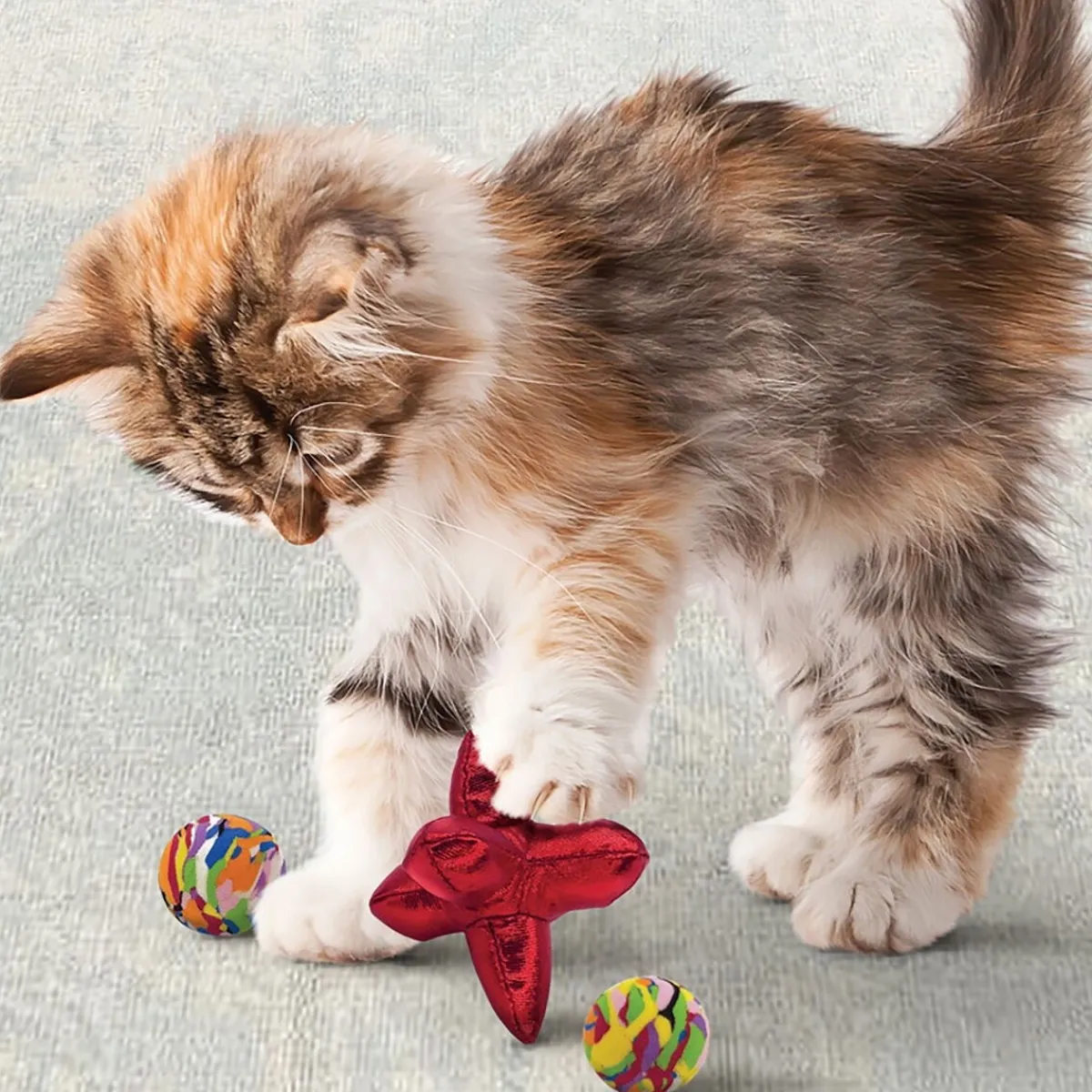 Cat Active Jacks 3 kpl>Kong Outlet
