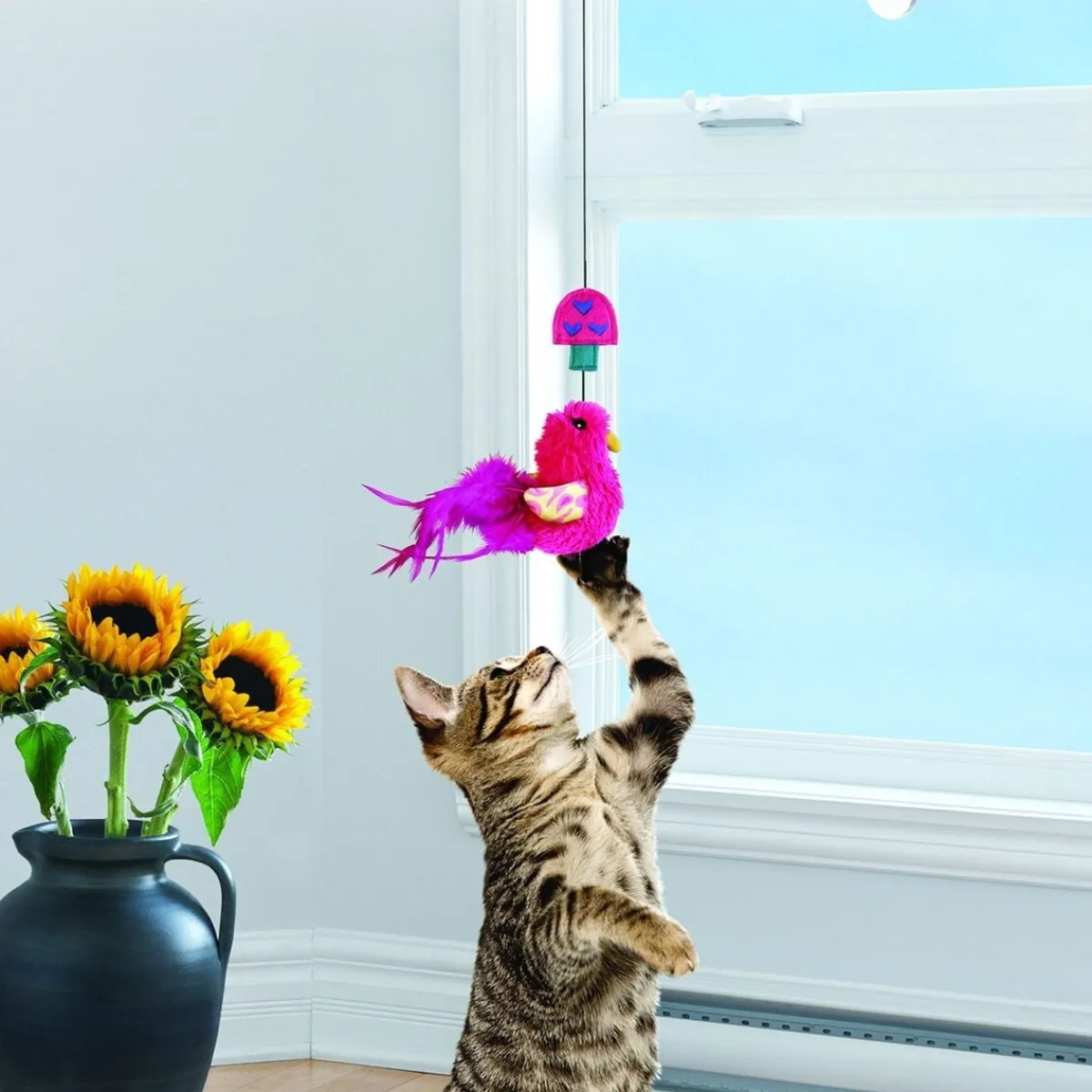 Cat Connects Window Teaser>Kong Clearance