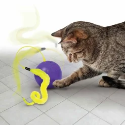 Cat Whirlwind aktivointilelu>Kong Discount