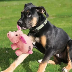 Phatz Pig>Kong Hot