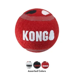 Signature Sport pallot M 3 kpl>Kong New