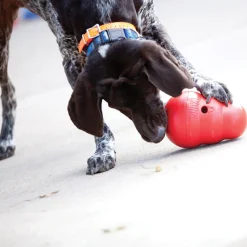 Wobbler koiran lelu>Kong Clearance
