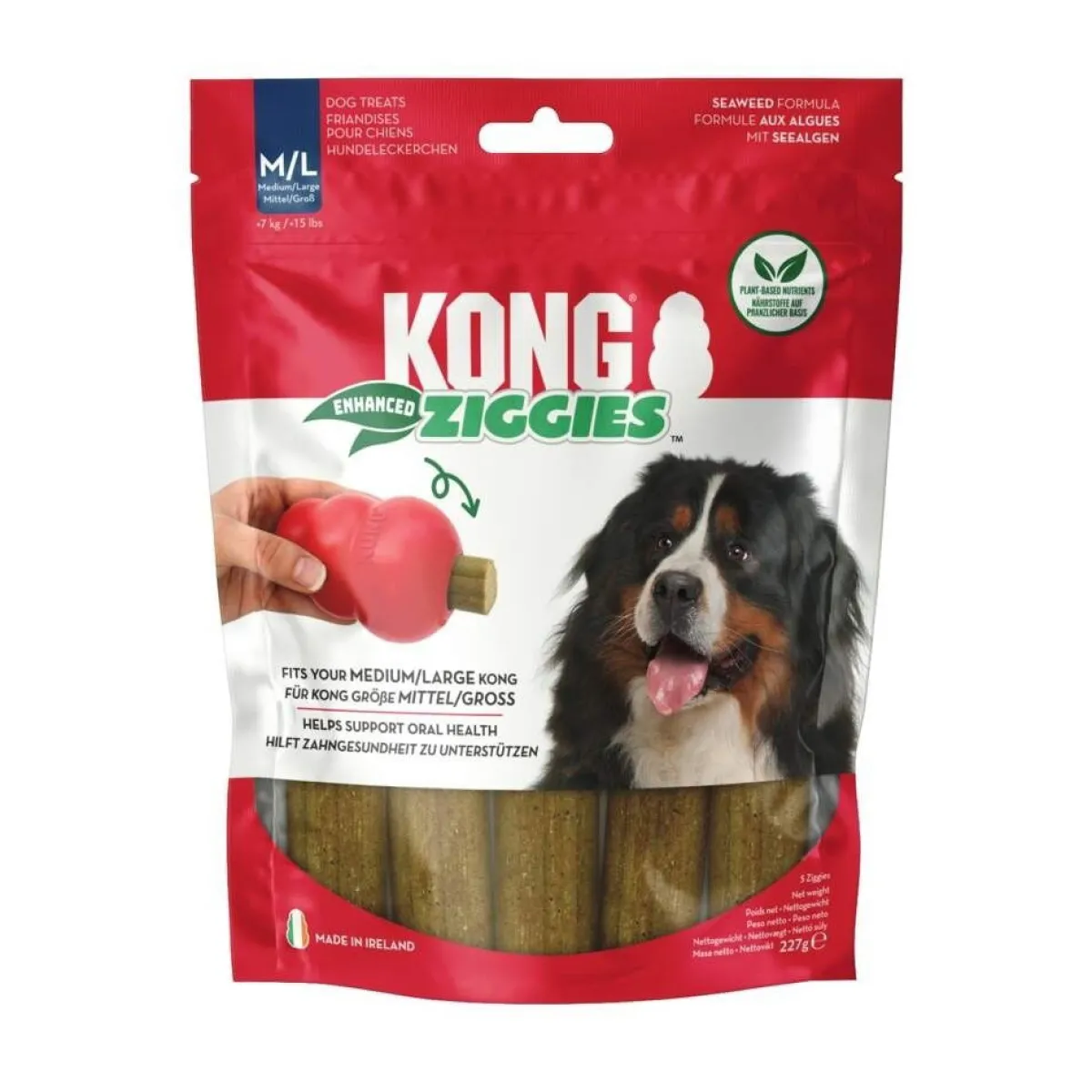 Ziggies puruherkku lihaton>Kong Online