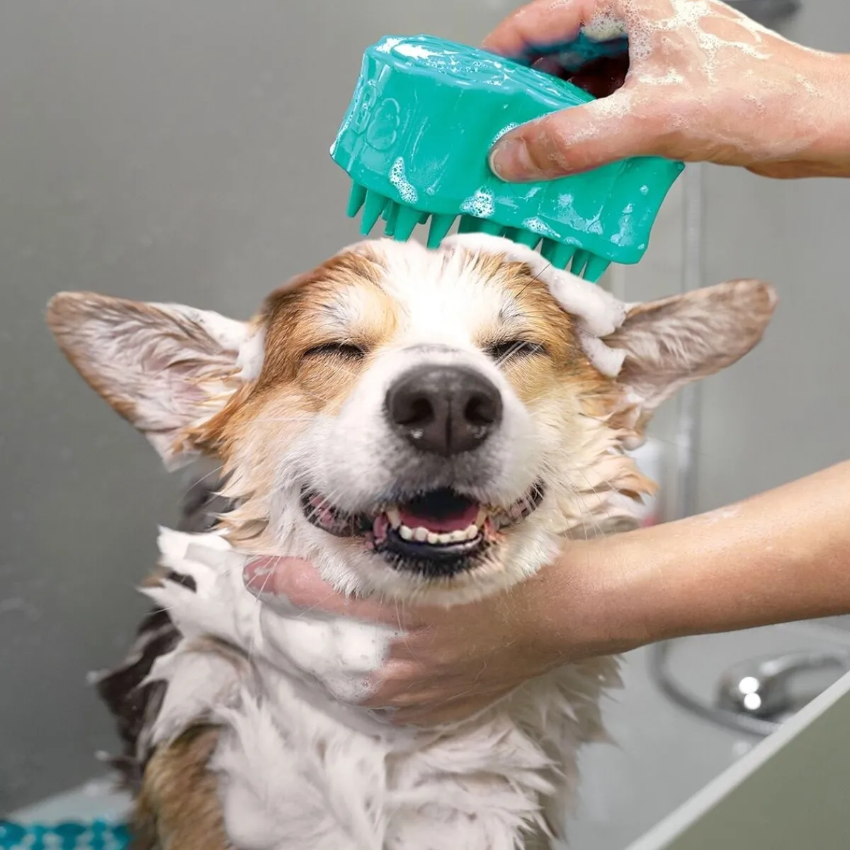ZoomGroom® Bubbles L>Kong Discount