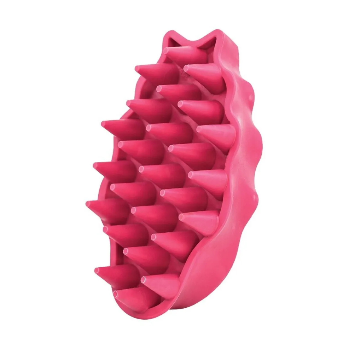 ZoomGroom L>Kong New