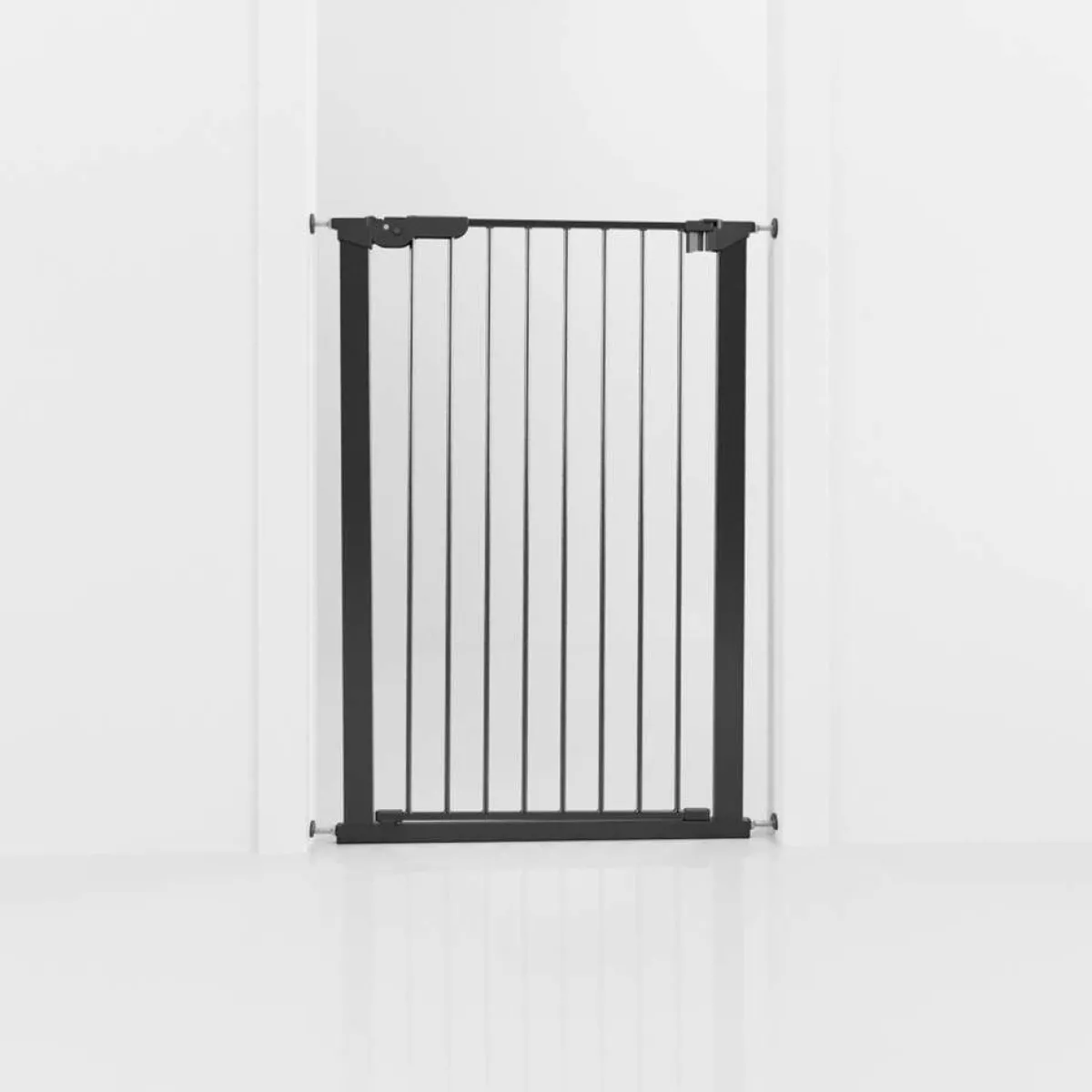 Korkea koiraportti Bonnie 73,5-79,6 x 104,5 cm>DogSpace Best