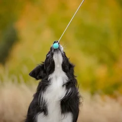Kosketuskeppi Target telesk.>Pro Dog Best