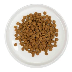 Kotikissa 1,4 kg>Sissi Clearance