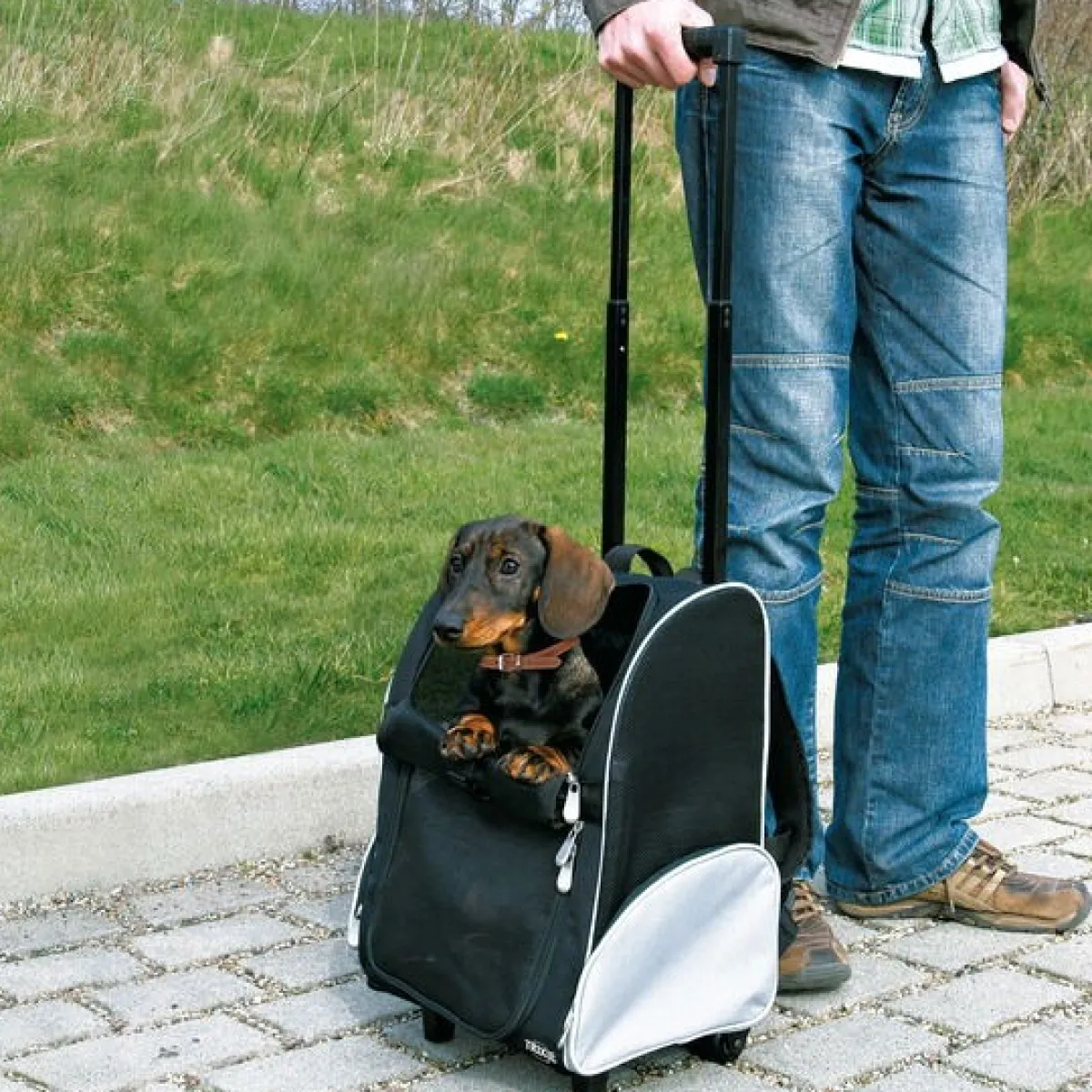 Kuljetuslaukku Friends On Tour>Trixie Best