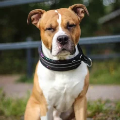 Kusse&Kutta extraleveä panta, musta kimalle>Kusse & Kutta Online