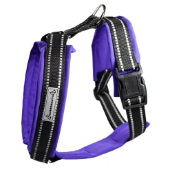 Kusse&Kutta-koiran valjaat softshell-pehmusteella, violetti>Kusse & Kutta Discount