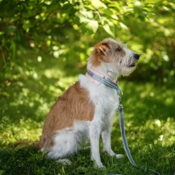 Kusse&Kutta kotimainen grip-hihna BGB-lukolla, 300 cm>Kusse & Kutta Best