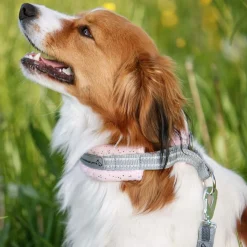 Kusse&Kutta puolikiristävä pehmopanta, vaaleanpunainen kimalle>Kusse & Kutta Outlet