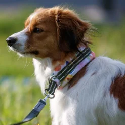 Kusse&Kutta puolikiristävä pehmopanta, puutarhakukat>Kusse & Kutta Clearance