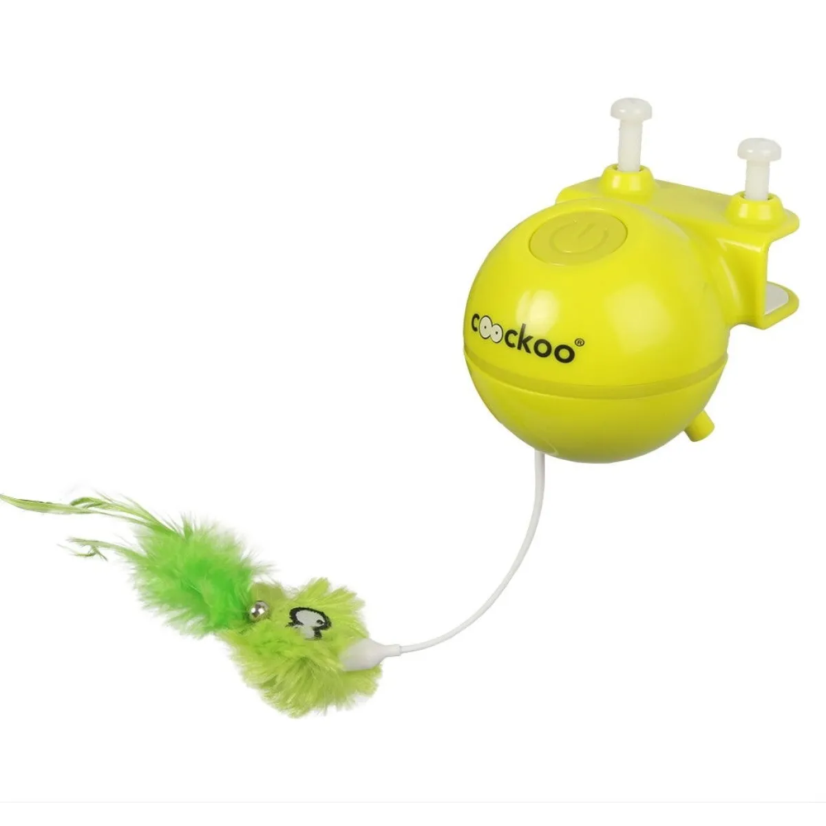Laserlelu kissalle Roxy>Coockoo Outlet