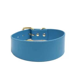 Leveä solkipanta , neonsininen>Collar of Sweden Sale