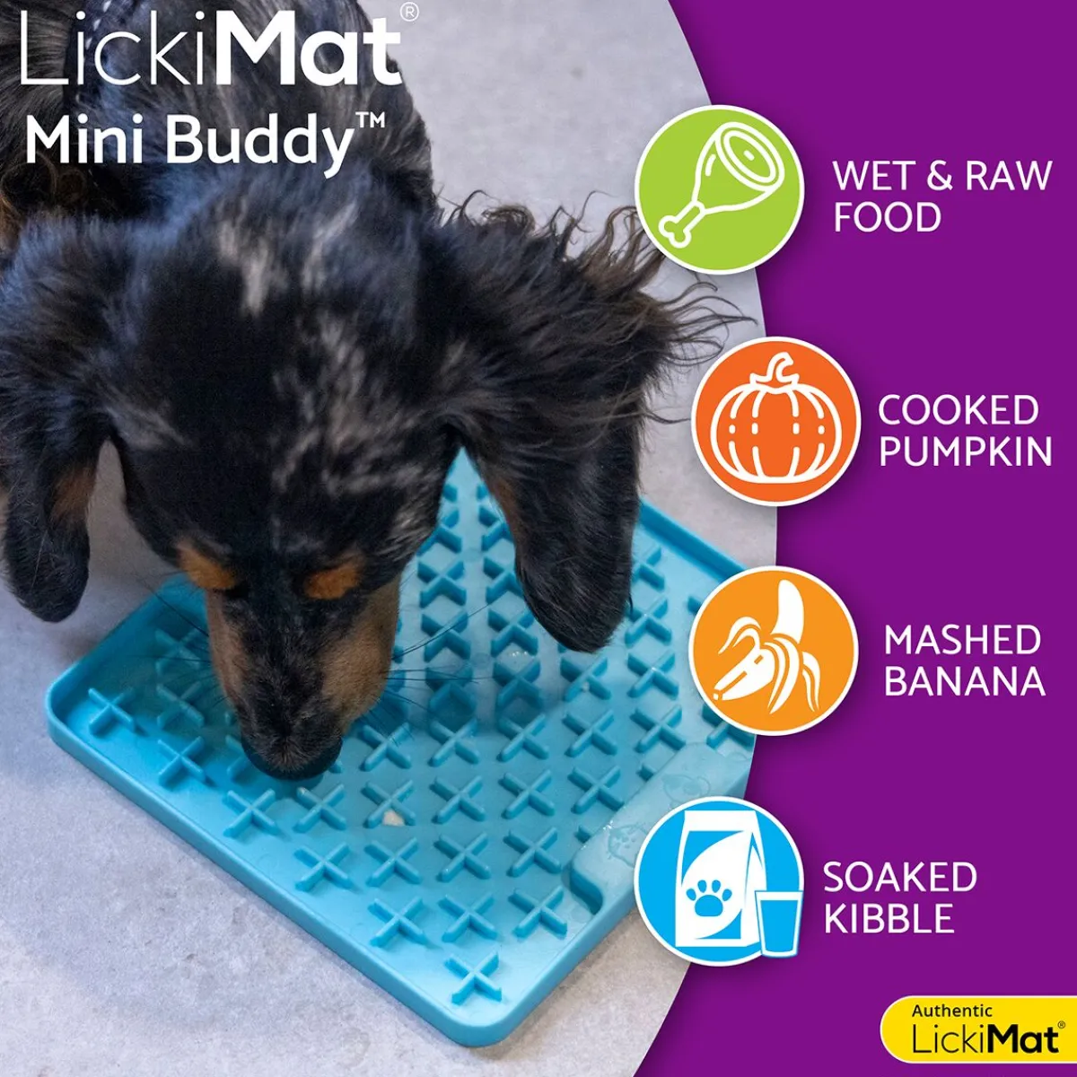 Mini Buddy nuolumatto, turkoosi>LickiMat Online