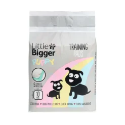 Puppy Basics Pentualusta koiralle 10kpl 60x60cm>Little&Bigger Outlet