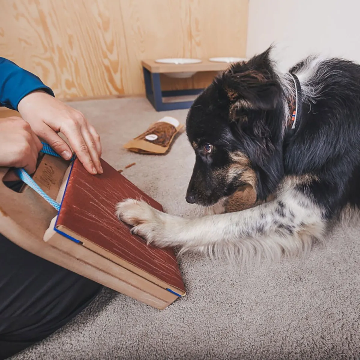 Mani-Pedi raapimalauta koiralle>Loype