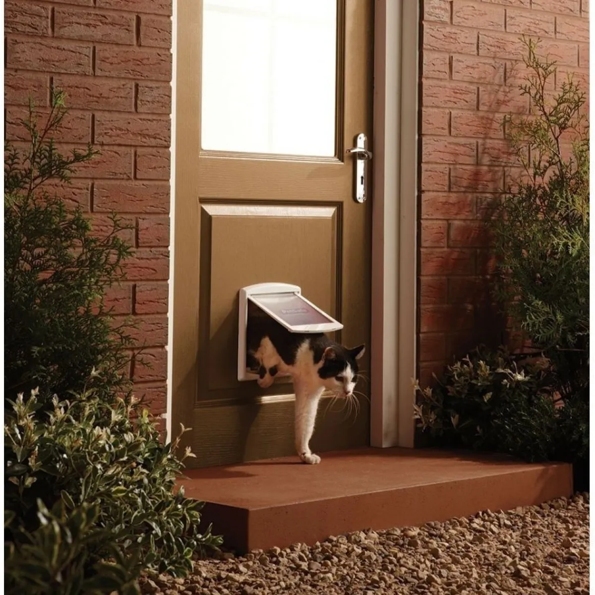 Luukku Staywell Original>Petsafe Sale