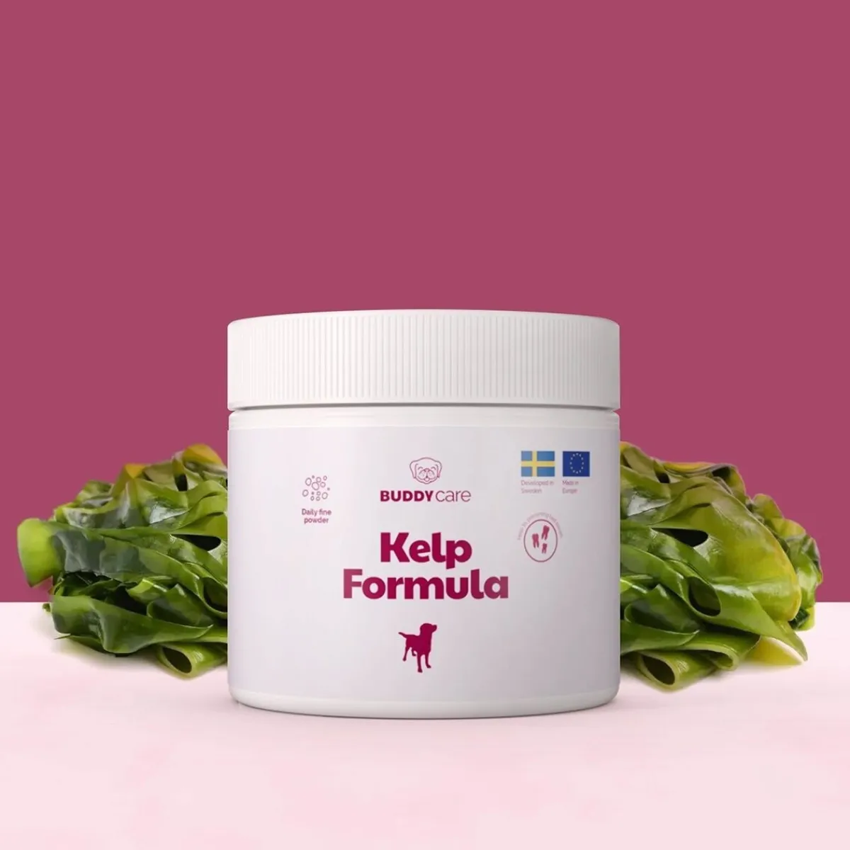 Merilevä koiralle Care Kelp Formula 250 g>Buddy New