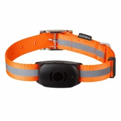 koiran panta 65 cm x 2,5 cm>MiniFinder Discount