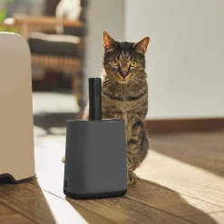 MyPet Biala Kissanhiekkalapioteline>Rotho New