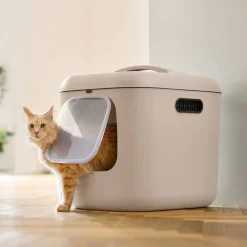 MyPet Biala Kissanvessa XL>Rotho