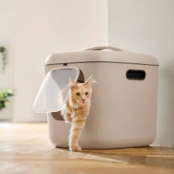 MyPet Biala Kissanvessa XL>Rotho