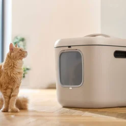 MyPet Biala Kissanvessa XL>Rotho