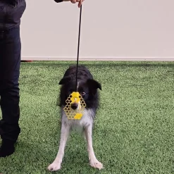 Nenätargetti Nosewand, keltainen>Loype Best