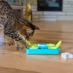 Catstages Kitty Cube kissan aktivointilelu>Nina Ottosson