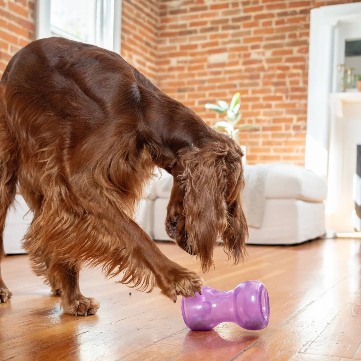 Outward Hound Double Snoop, lila>Nina Ottosson Best