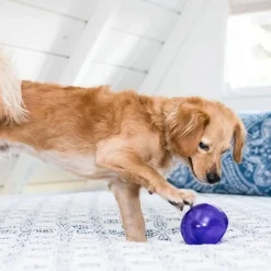 Outward Hound Lil Snoop, lila>Nina Ottosson Sale