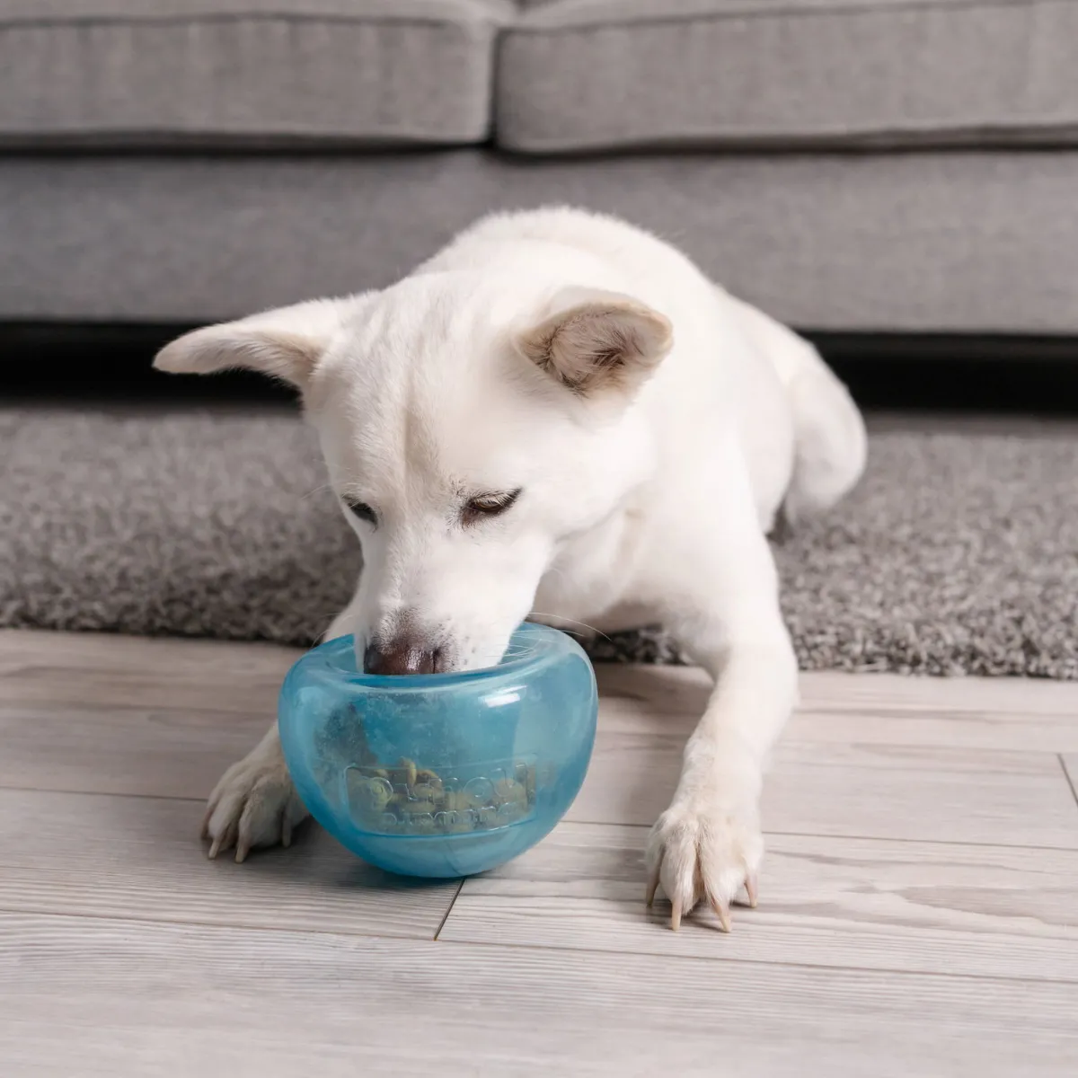 Outward Hound Snoop, sininen>Nina Ottosson New