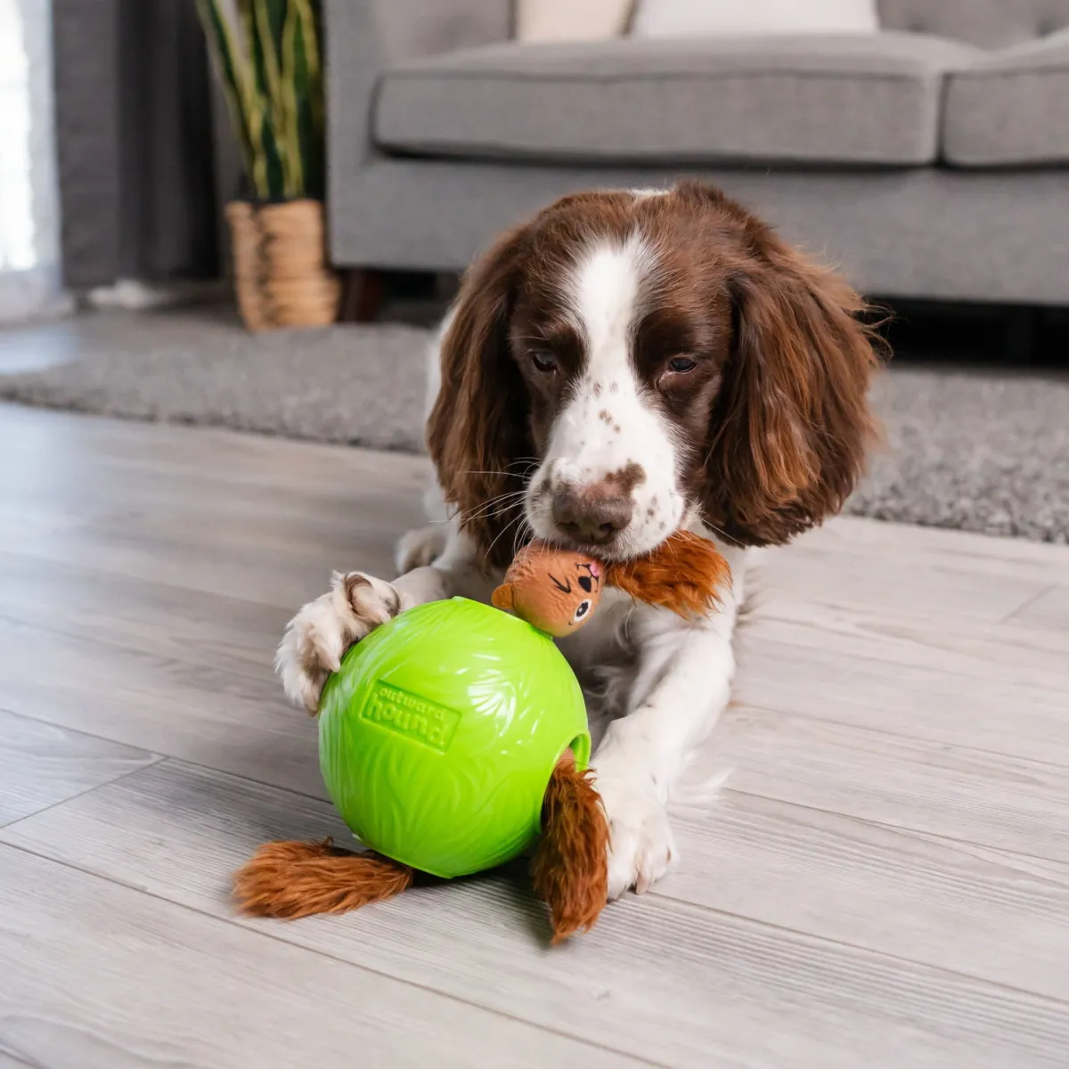 Snuffle N’ Treat Ball S>Nina Ottosson New