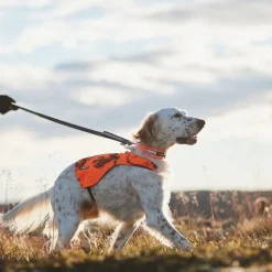 Non-Stop Camo huomioliivi oranssi>Non-stop dogwear