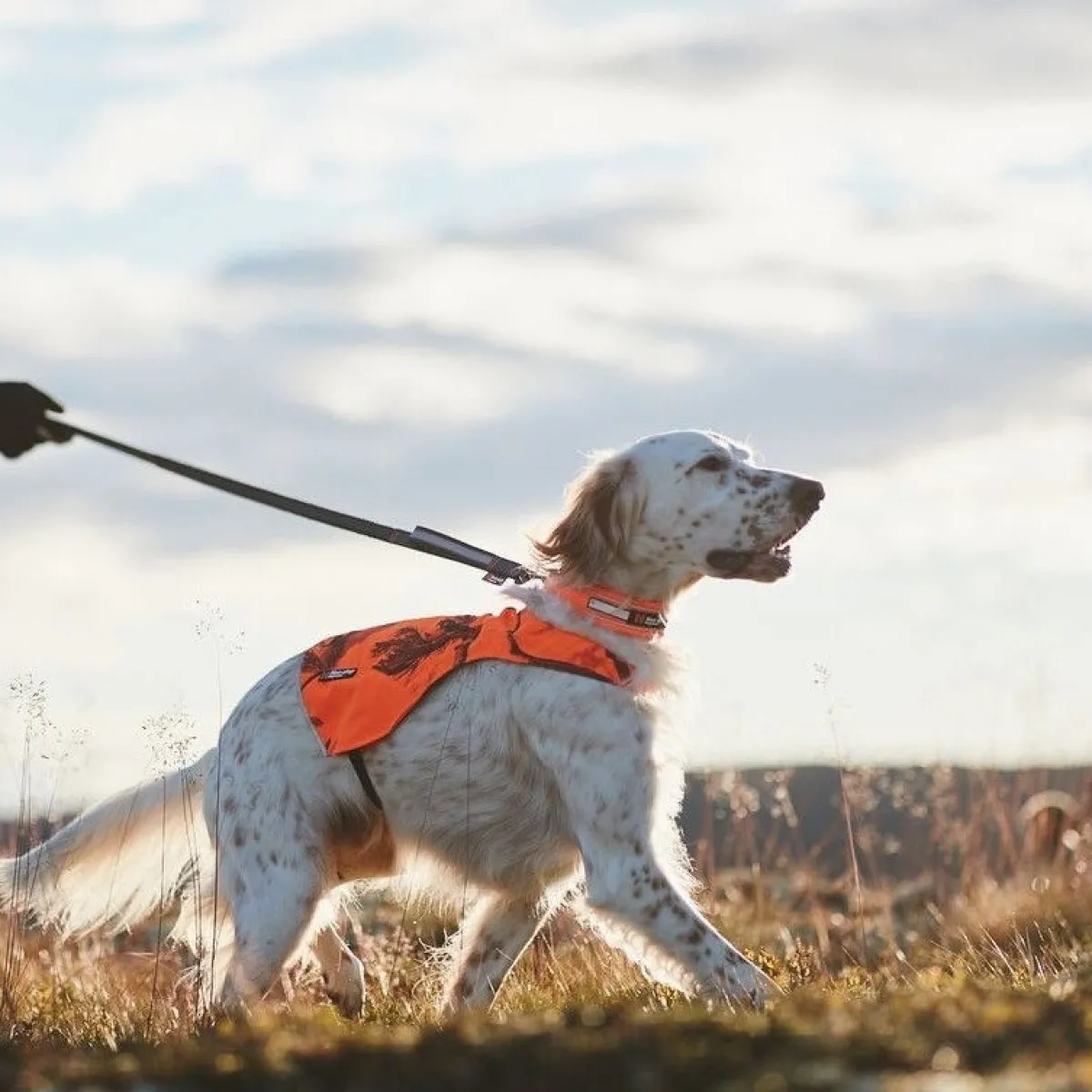 Non-Stop Camo huomioliivi oranssi>Non-stop dogwear