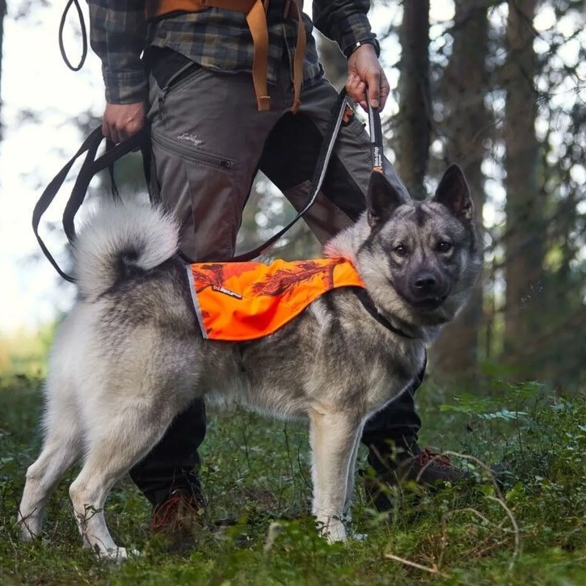 Non-Stop Camo huomioliivi oranssi>Non-stop dogwear