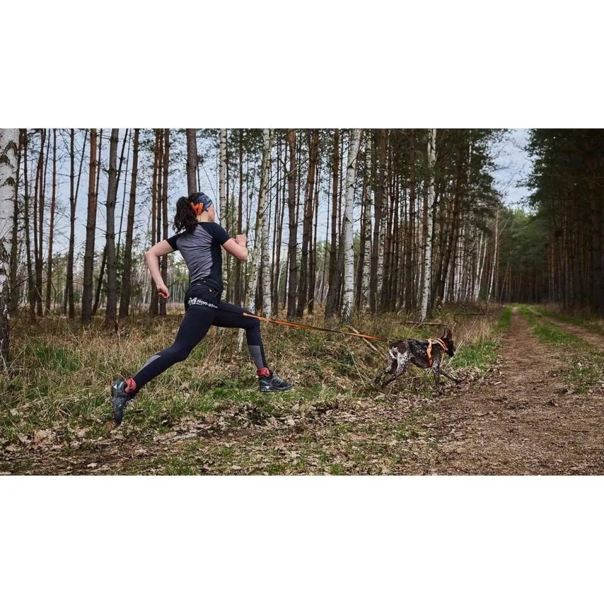 Non-Stop Canix Pro juoksuvyö>Non-stop dogwear Best