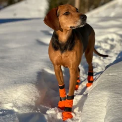 Non-Stop Contact pitkävartiset tossut, 4kpl>Non-stop dogwear