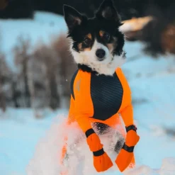 Non-Stop Contact pitkävartiset tossut, 4kpl>Non-stop dogwear