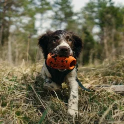 Non-Stop Dog kuminen aktivointilelu>Non-stop dogwear Discount